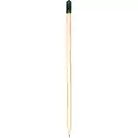 Tohumlu Kurşun Kalem