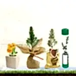 Bitki Yetiştirme Setleri