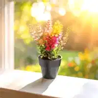 Bitki Yetiştirme Seti